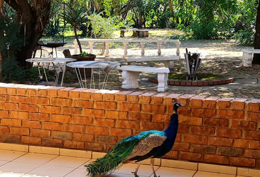 4 Bedroom Property for Sale in Grootvaly AH Gauteng