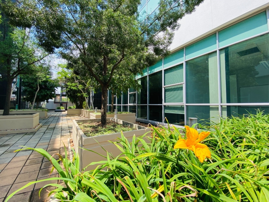 To Let commercial Property for Rent in Fourways Gauteng