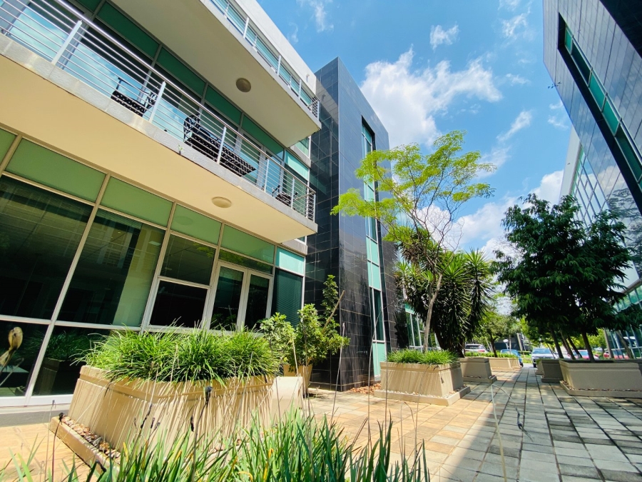 To Let commercial Property for Rent in Fourways Gauteng