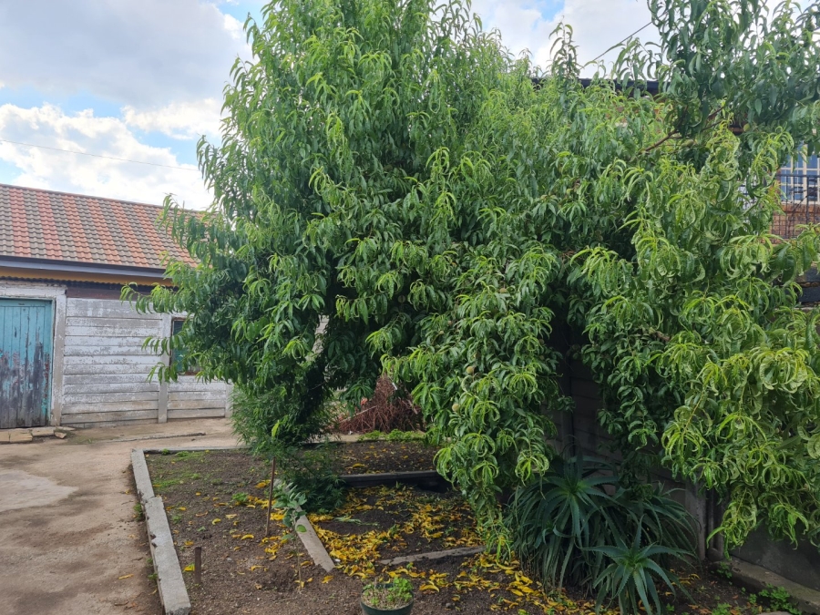 4 Bedroom Property for Sale in Reigerpark Gauteng