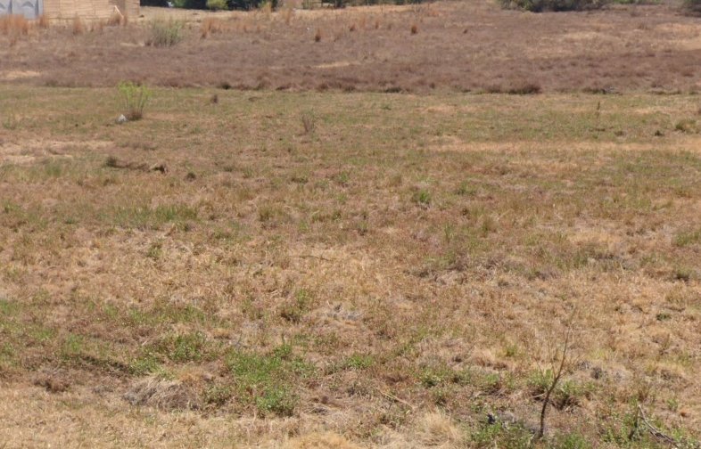  Bedroom Property for Sale in Vaal Marina Gauteng