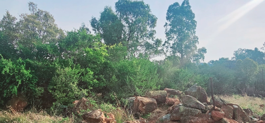  Bedroom Property for Sale in Vaal Marina Gauteng