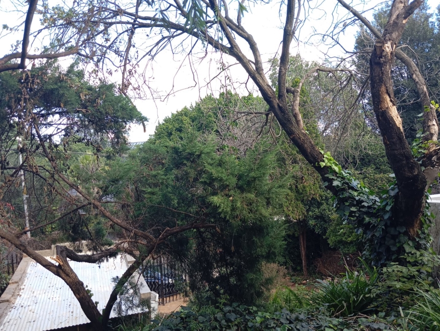 To Let 1 Bedroom Property for Rent in Auckland Park Gauteng