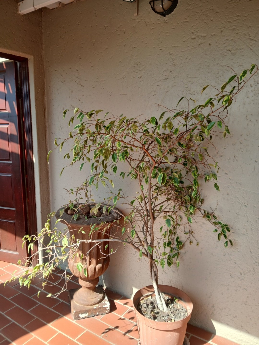 1 Bedroom Property for Sale in Morningside Ext 40 Gauteng