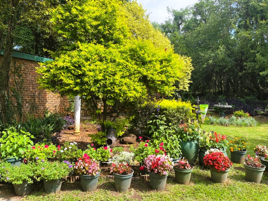 4 Bedroom Property for Sale in Swacina Park A H Gauteng