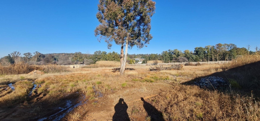  Bedroom Property for Sale in Golf View Gauteng