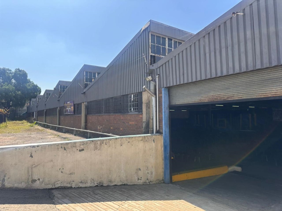 To Let commercial Property for Rent in City and Suburban Gauteng