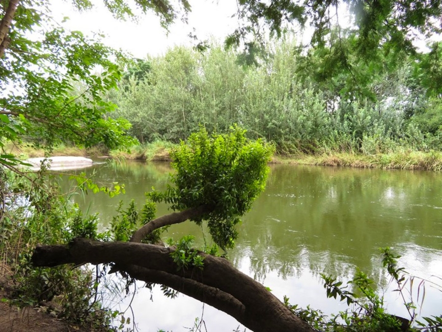 18 Bedroom Property for Sale in Zusterstroom AH Gauteng