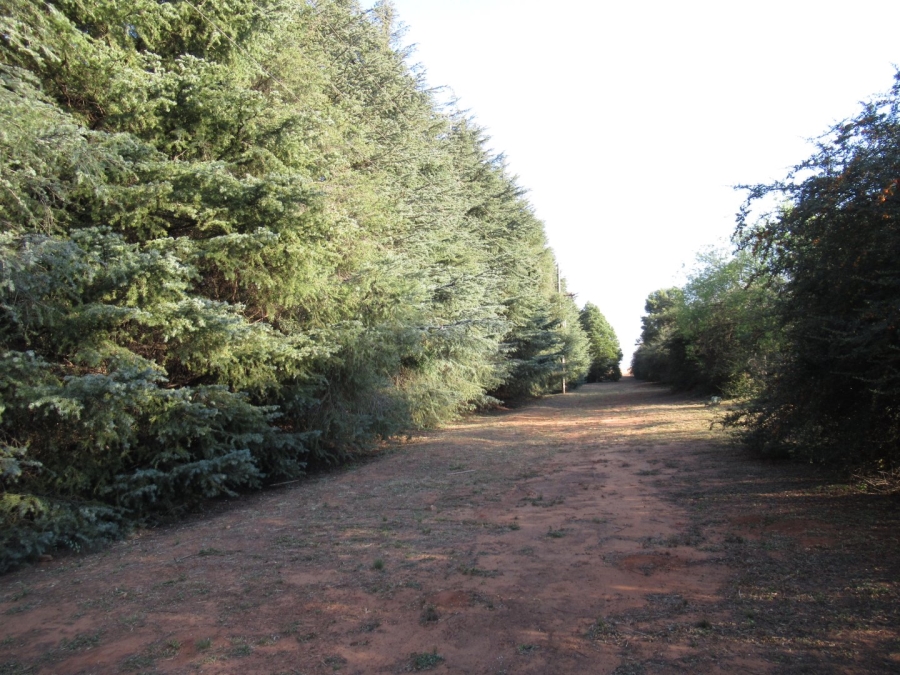 5 Bedroom Property for Sale in Rayton Gauteng