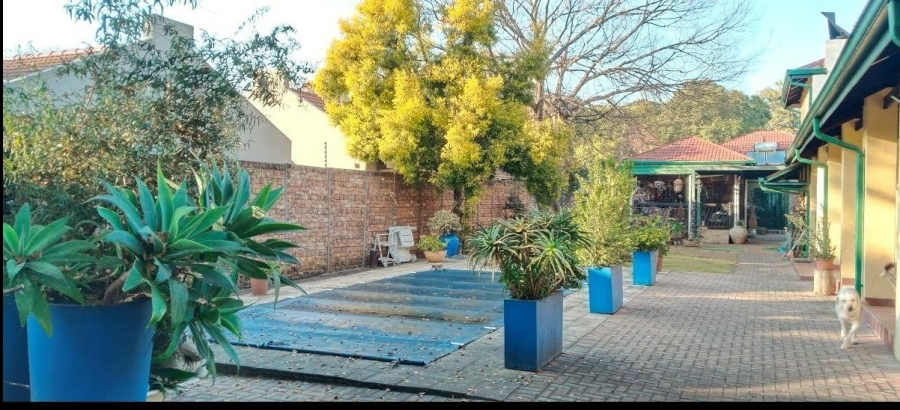 To Let 1 Bedroom Property for Rent in Hatfield Gauteng