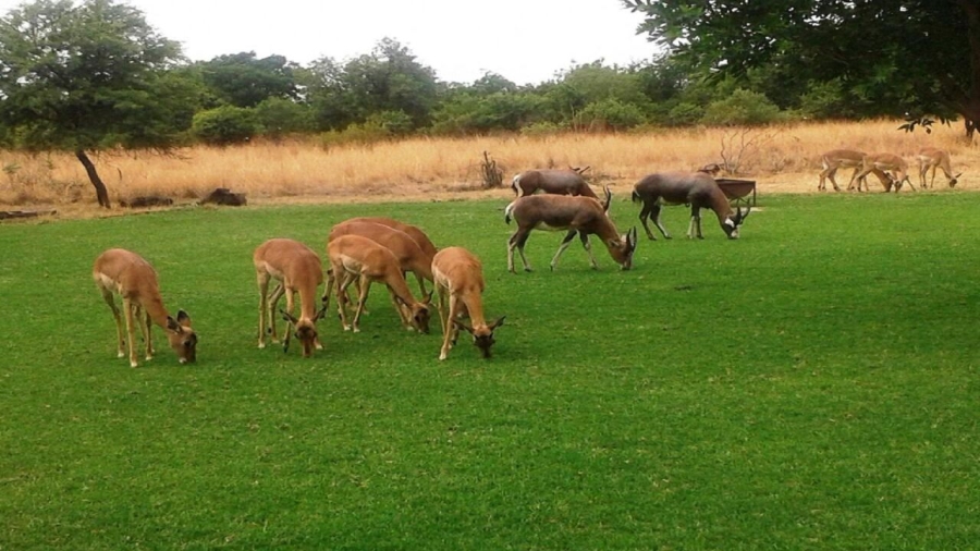 4 Bedroom Property for Sale in Pretoria North Gauteng