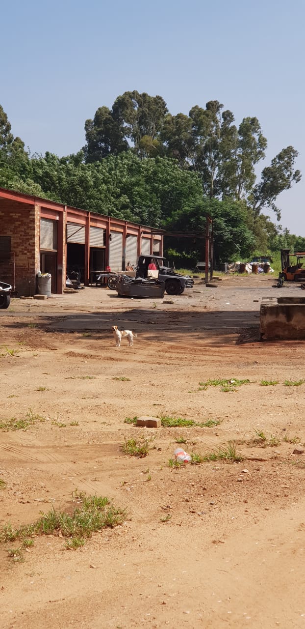 17 Bedroom Property for Sale in Knoppieslaagte Gauteng