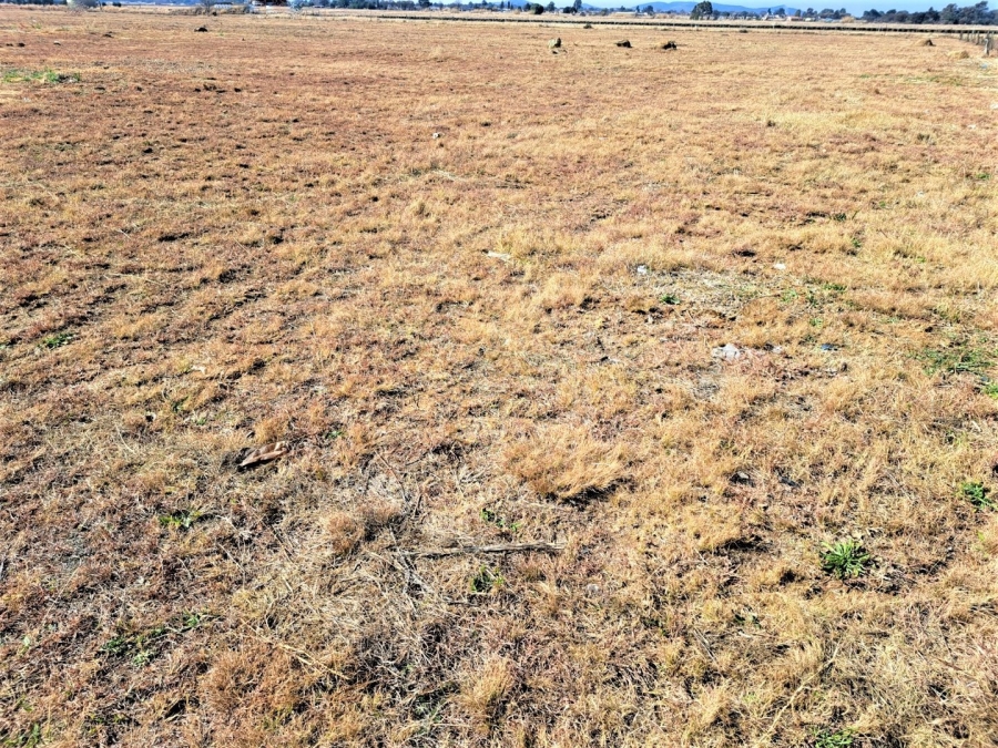  Bedroom Property for Sale in Riversdale Gauteng