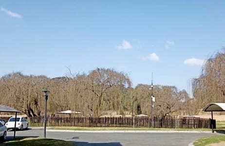 2 Bedroom Property for Sale in Meredale Gauteng
