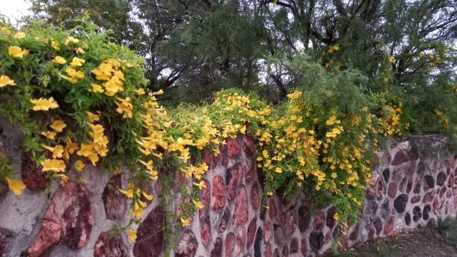 3 Bedroom Property for Sale in Vlakplaats Gauteng