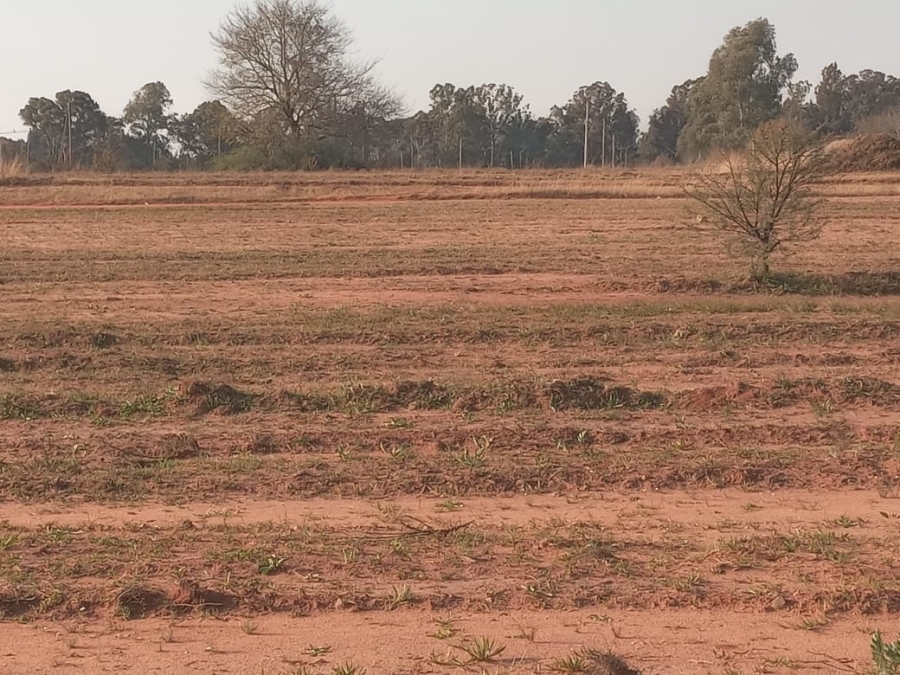  Bedroom Property for Sale in Riversdale Gauteng