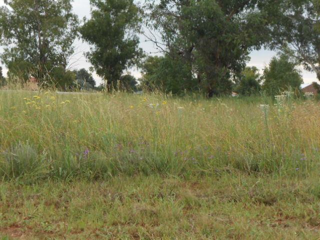  Bedroom Property for Sale in Henley on Klip Gauteng