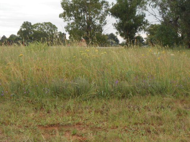  Bedroom Property for Sale in Henley on Klip Gauteng