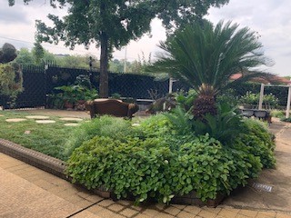To Let 1 Bedroom Property for Rent in Groenkloof Gauteng