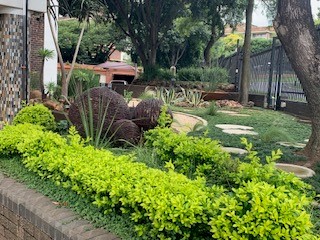 To Let 1 Bedroom Property for Rent in Groenkloof Gauteng