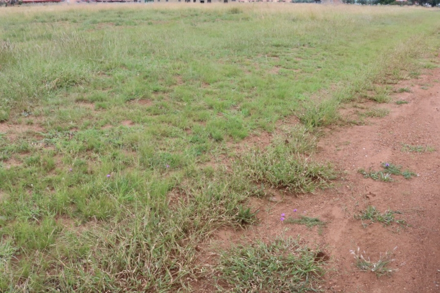  Bedroom Property for Sale in Riversdale Gauteng