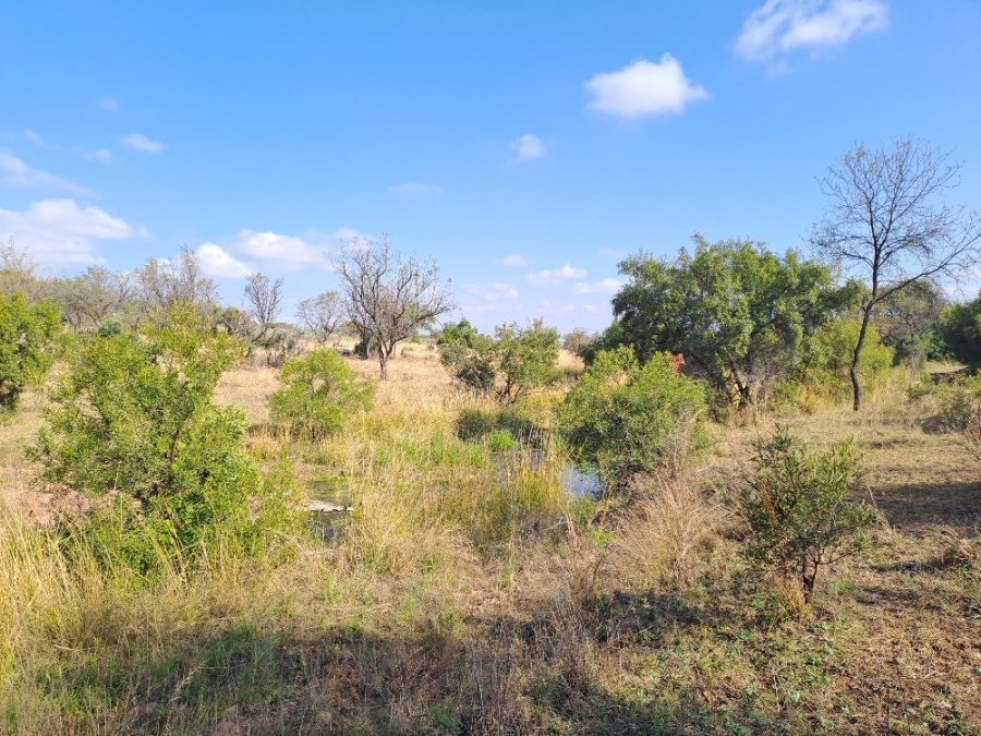 6 Bedroom Property for Sale in Dinokeng Game Reserve Gauteng