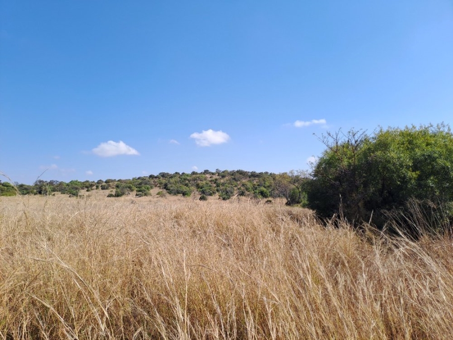 6 Bedroom Property for Sale in Dinokeng Game Reserve Gauteng