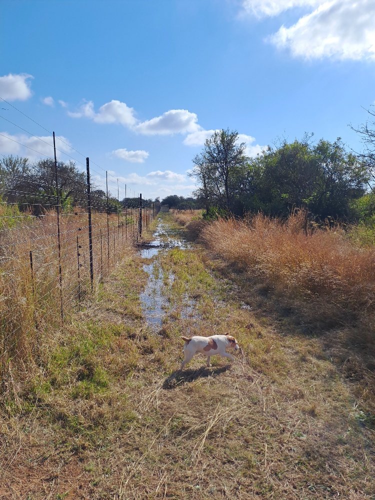 6 Bedroom Property for Sale in Dinokeng Game Reserve Gauteng