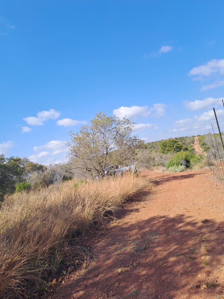 6 Bedroom Property for Sale in Dinokeng Game Reserve Gauteng