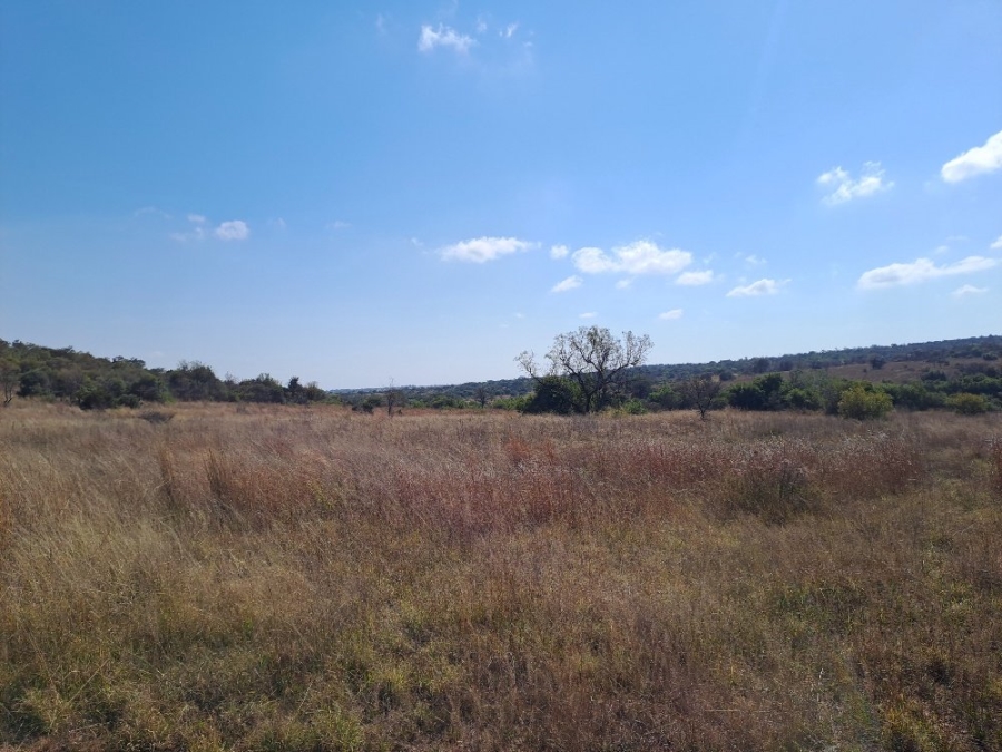 6 Bedroom Property for Sale in Dinokeng Game Reserve Gauteng