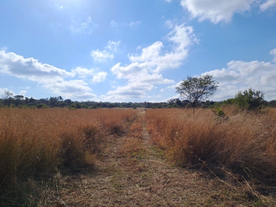 6 Bedroom Property for Sale in Dinokeng Game Reserve Gauteng