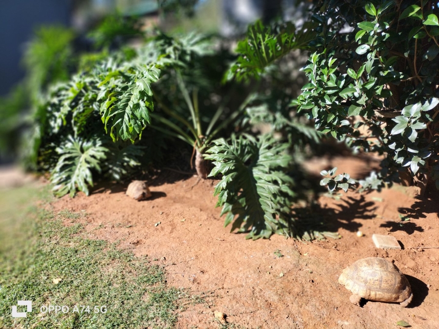 3 Bedroom Property for Sale in Harmelia Gauteng