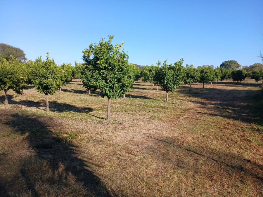 30 Bedroom Property for Sale in Vasfontein AH Gauteng