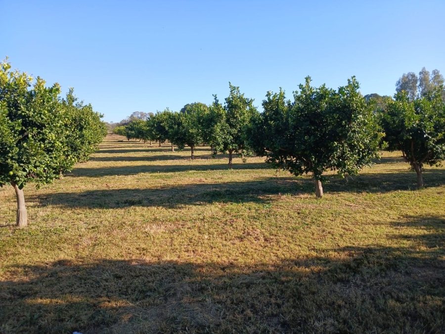 30 Bedroom Property for Sale in Vasfontein AH Gauteng