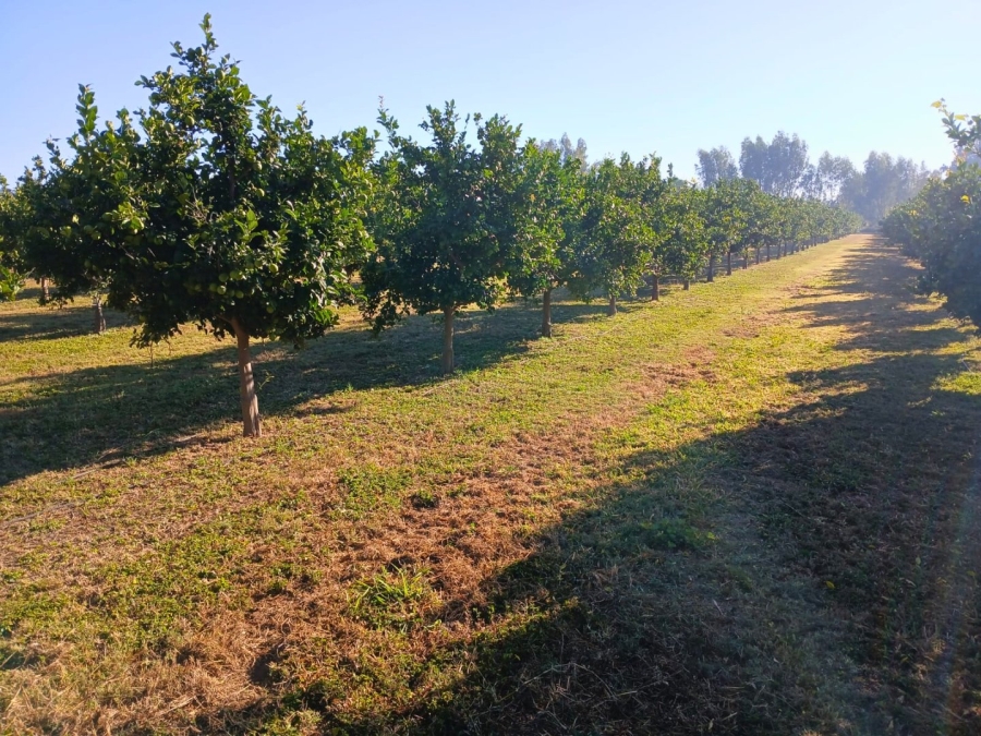 Commercial Property for Sale in Vasfontein AH Gauteng