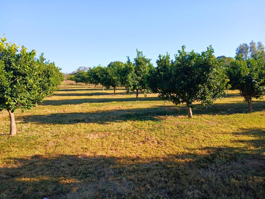 Commercial Property for Sale in Vasfontein AH Gauteng