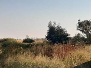  Bedroom Property for Sale in Meyerton Park Gauteng