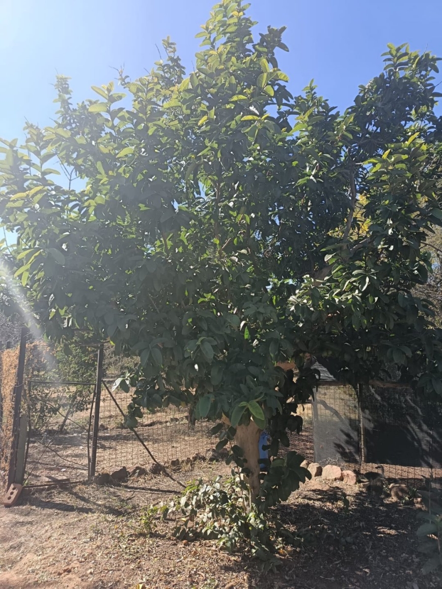 4 Bedroom Property for Sale in Bultfontein A H Gauteng