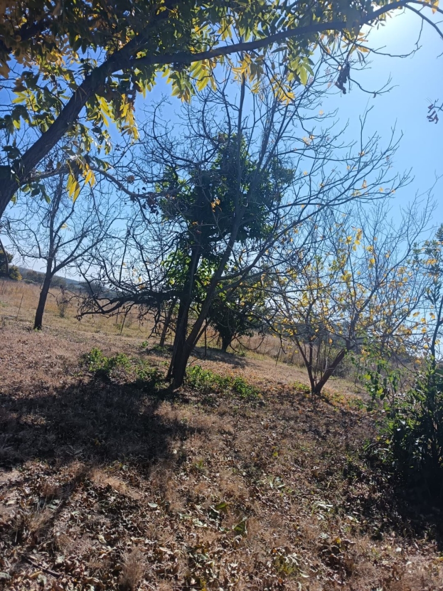 4 Bedroom Property for Sale in Bultfontein A H Gauteng