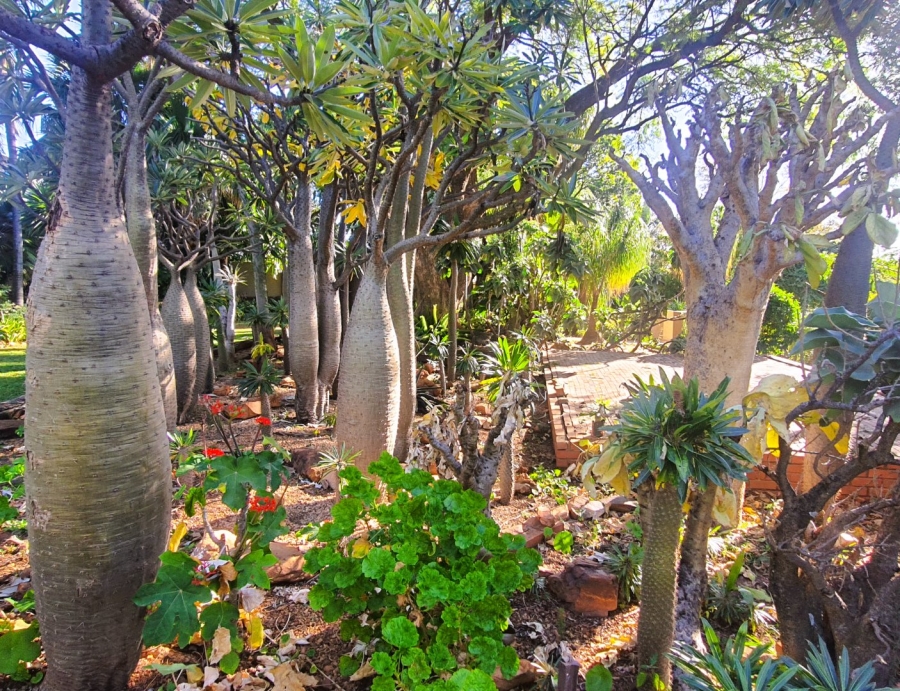 3 Bedroom Property for Sale in Vissershoek AH Gauteng