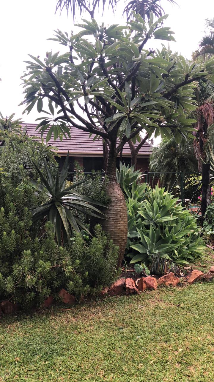 3 Bedroom Property for Sale in Vissershoek AH Gauteng