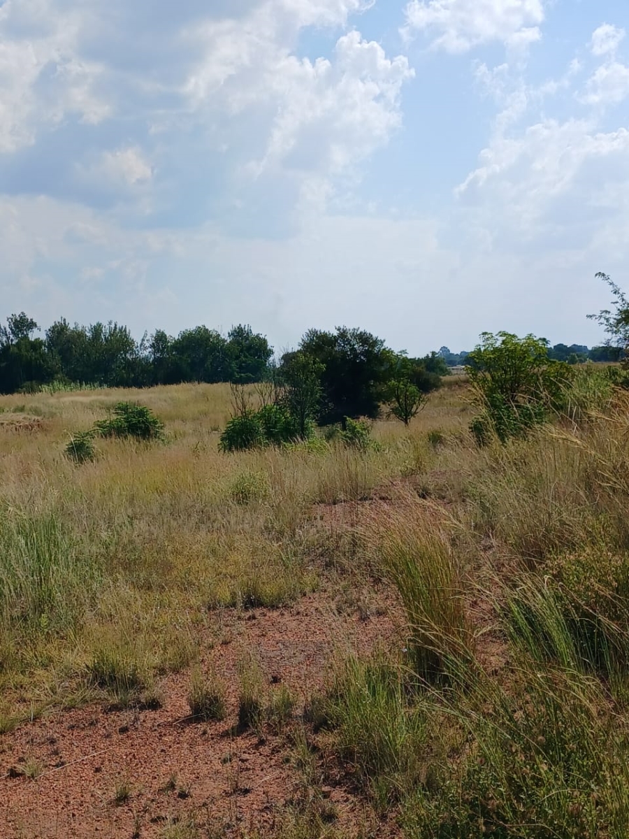  Bedroom Property for Sale in Haakdoornboom AH Gauteng