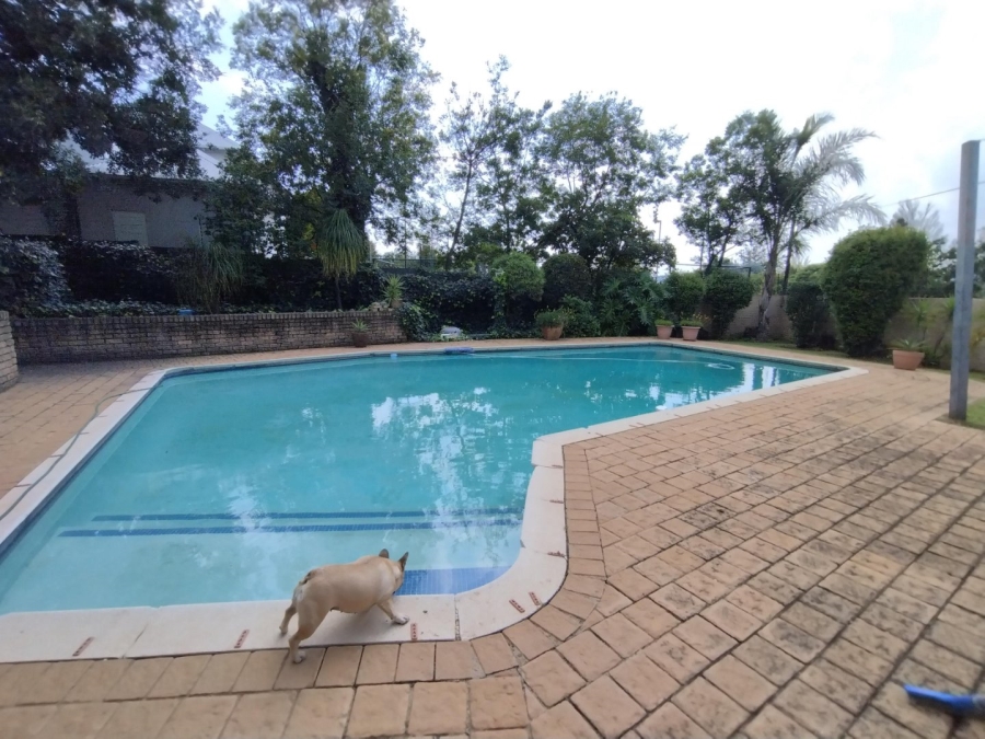 To Let 2 Bedroom Property for Rent in Victory Park Gauteng