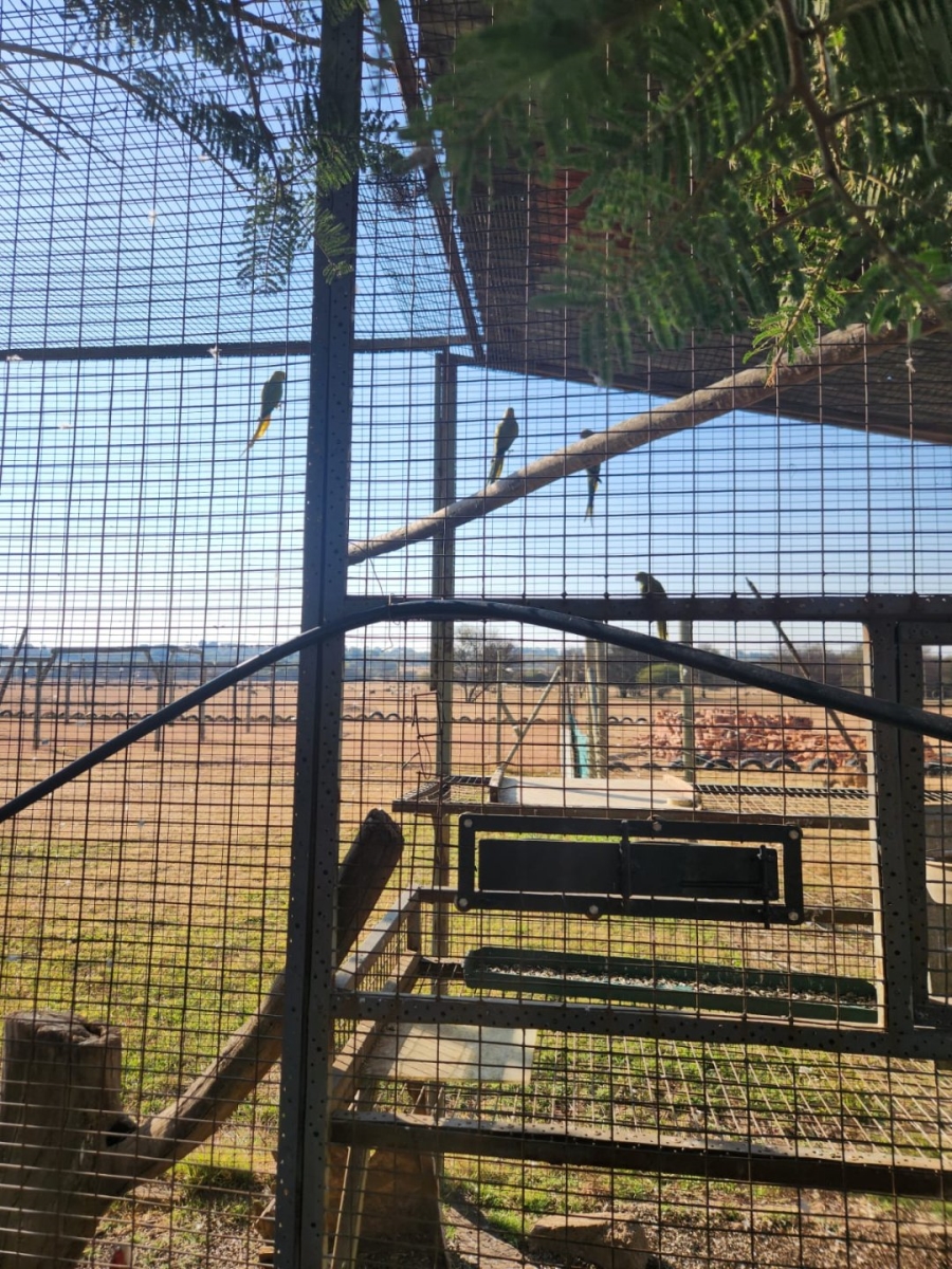 3 Bedroom Property for Sale in Haakdoornboom AH Gauteng