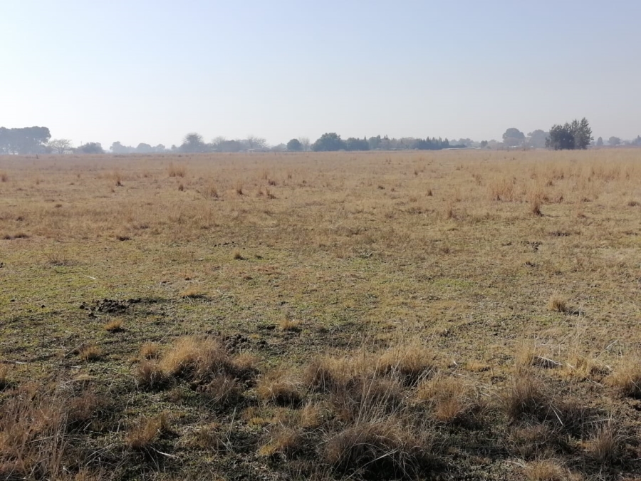 3 Bedroom Property for Sale in Zuurfontein Gauteng