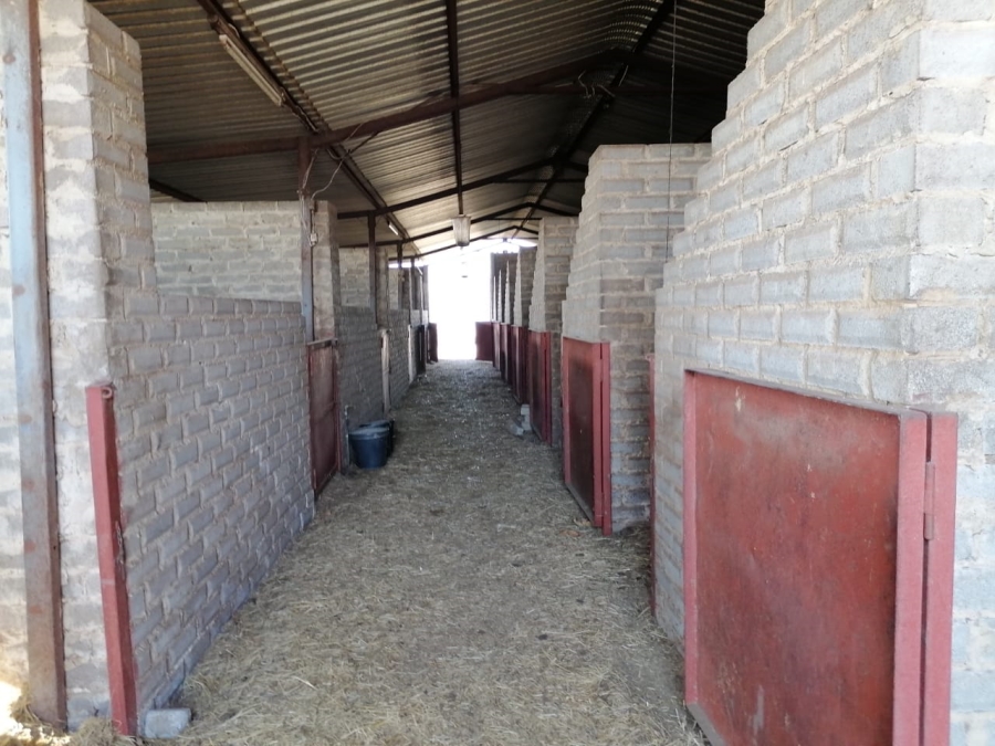 3 Bedroom Property for Sale in Zuurfontein Gauteng
