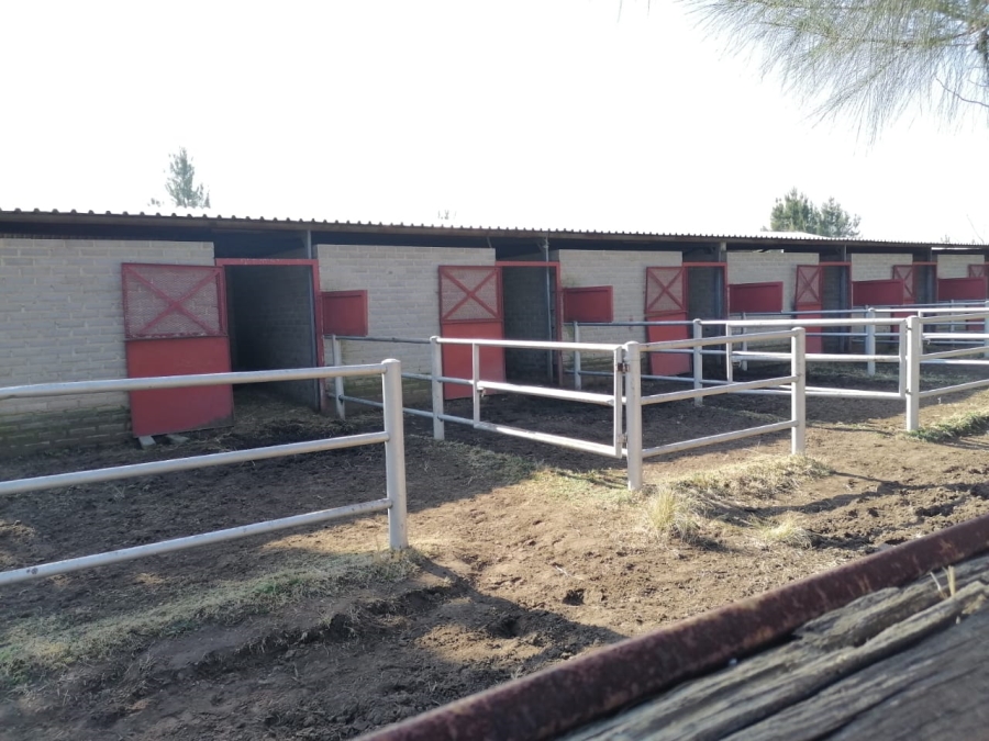 3 Bedroom Property for Sale in Zuurfontein Gauteng