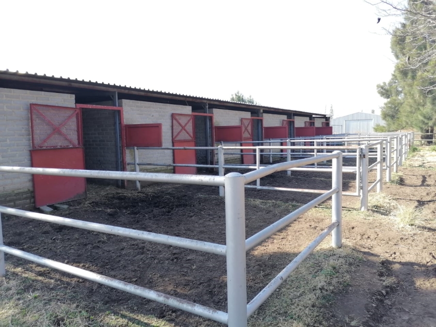 3 Bedroom Property for Sale in Zuurfontein Gauteng