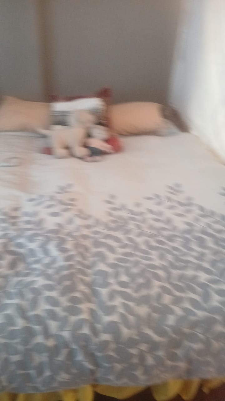 3 Bedroom Property for Sale in Berea Gauteng