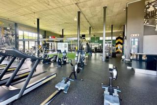 To Let 3 Bedroom Property for Rent in The Polofields Gauteng